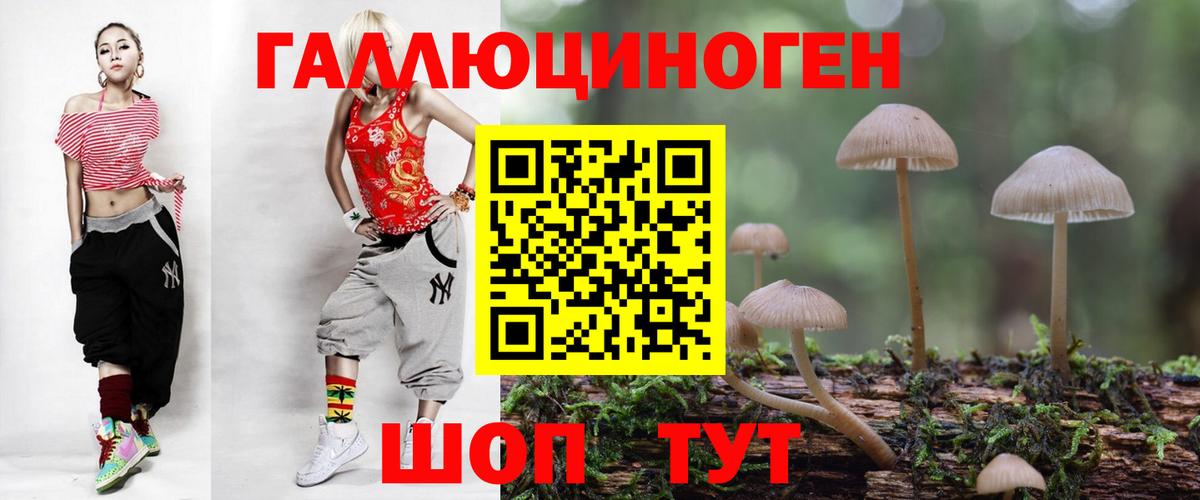 где можно купить   Вход с VPN  Галлюциногенные грибы Magic Shrooms  Ногинск  Псилоцибиновые грибы Magic Shrooms 